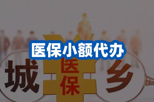 医保小额代办