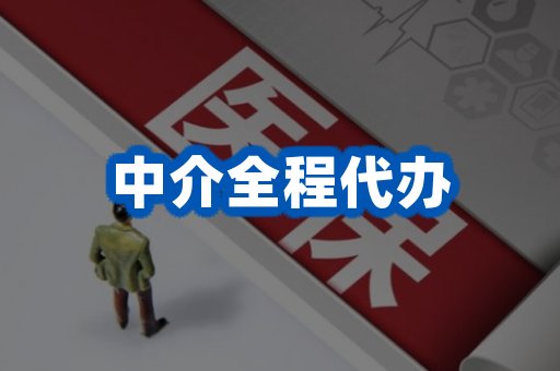 中介全程代办